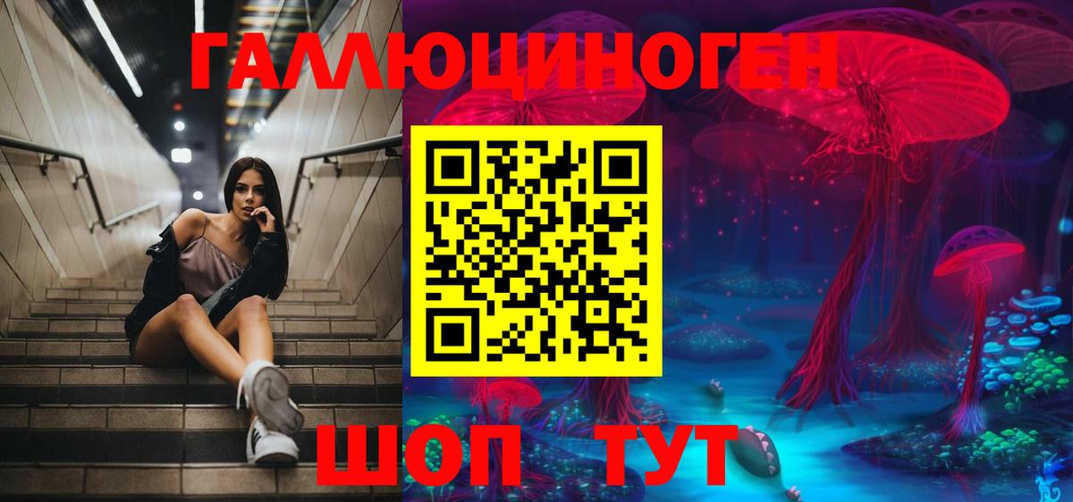 Усинск  Псилоцибиновые грибы Psilocybine cubensis  Вход с VPN 